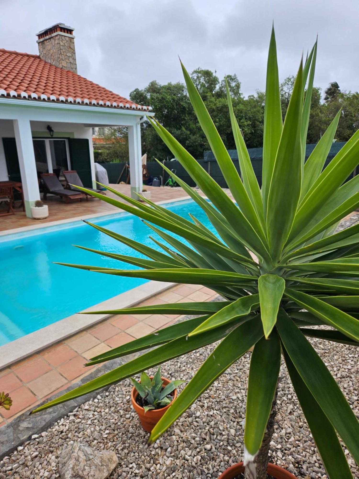 Casa Delbon Guest House 阿尔热祖尔 外观 照片