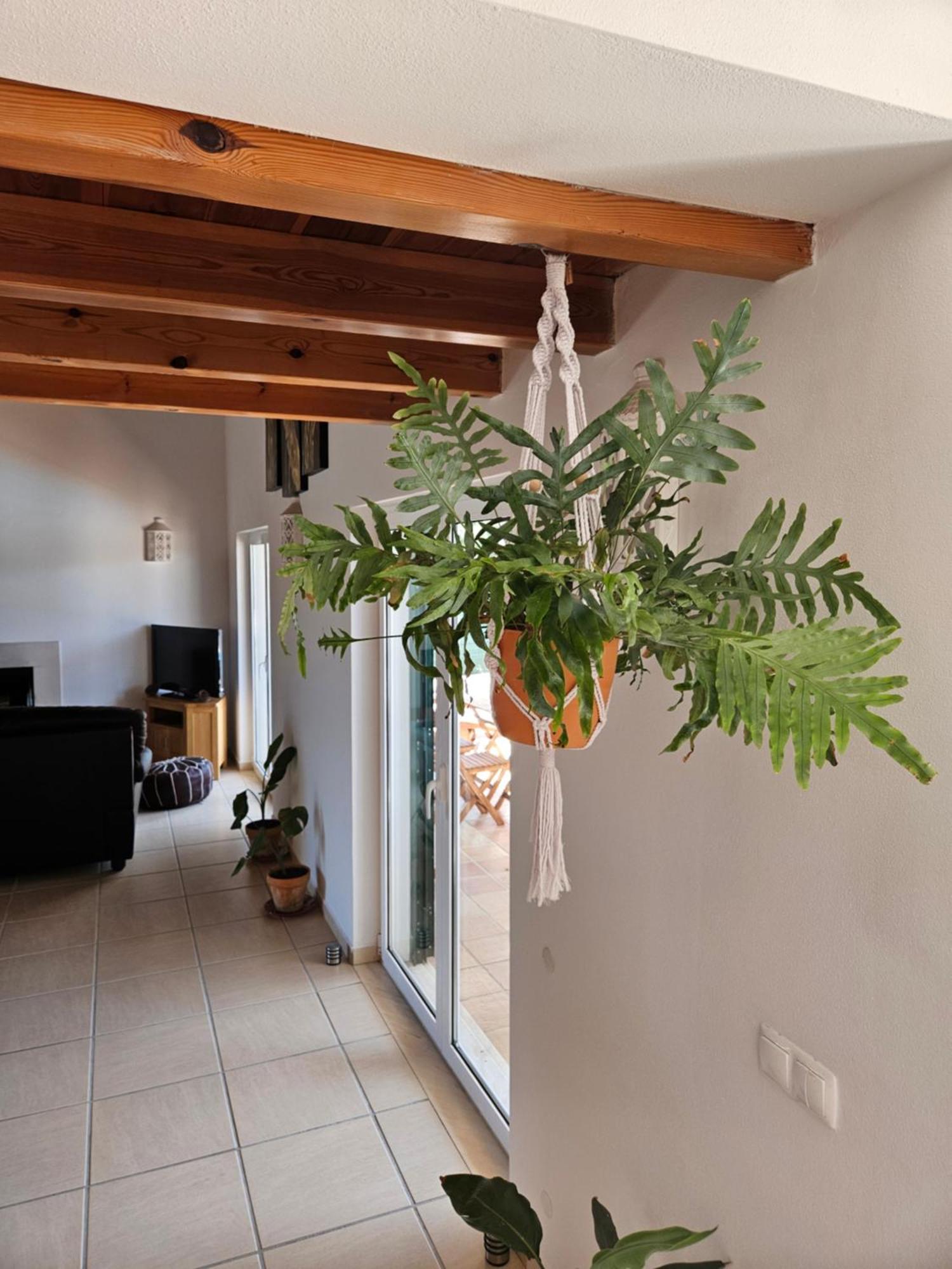 Casa Delbon Guest House 阿尔热祖尔 外观 照片